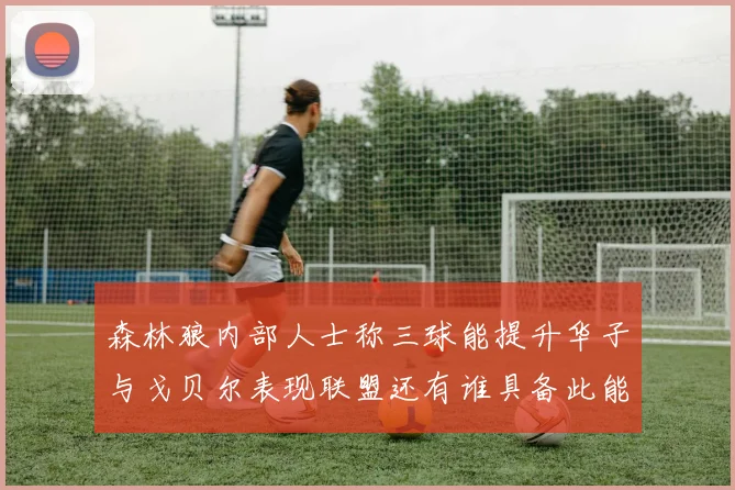 森林狼内部人士称三球能提升华子与戈贝尔表现联盟还有谁具备此能力