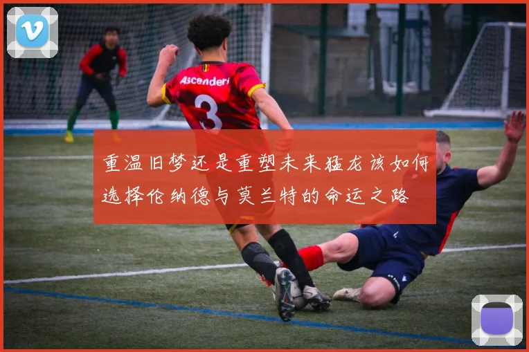 重温旧梦还是重塑未来猛龙该如何选择伦纳德与莫兰特的命运之路
